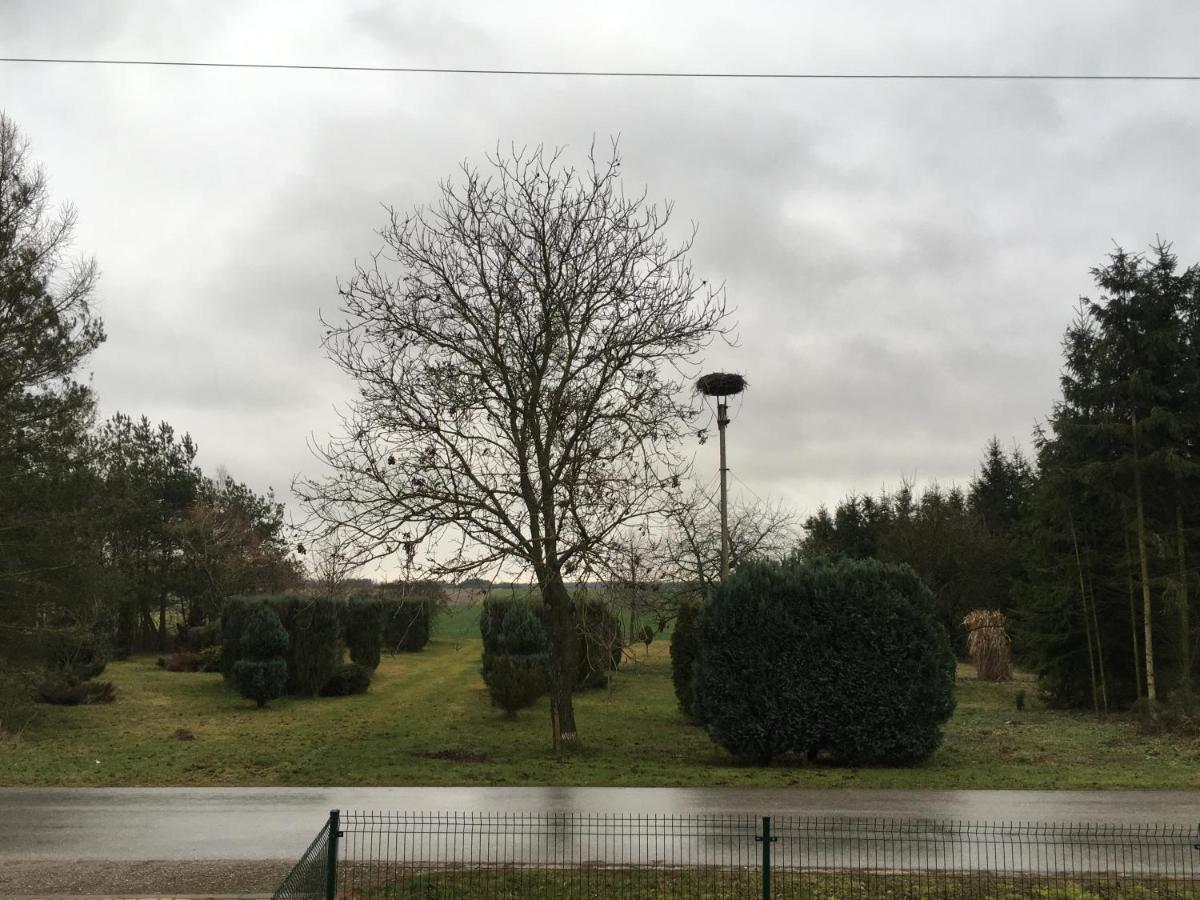 Agroturstyka U Witka Brynica Mokra Exterior foto